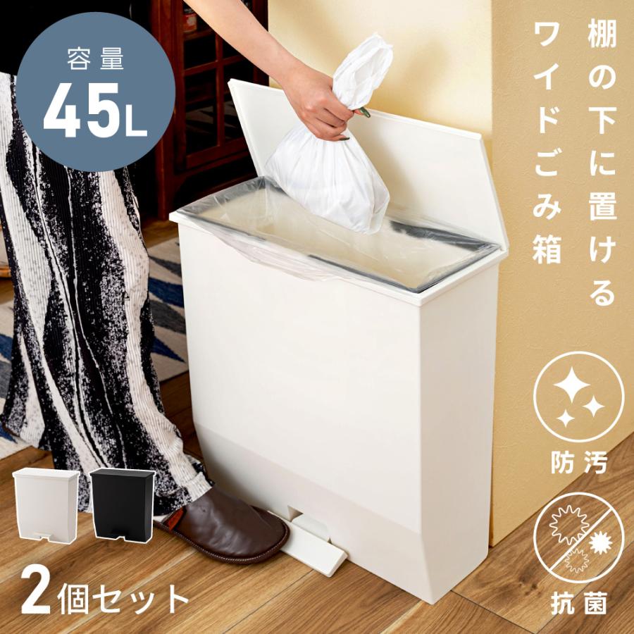 RISU（リス） ゴミ箱 45リットル 2個セット おしゃれ キッチン 分別 