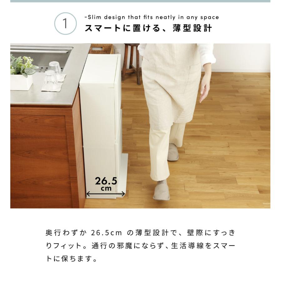 RISU（リス） ゴミ箱 おしゃれ 分別 2段 22.5リットル 45リットル