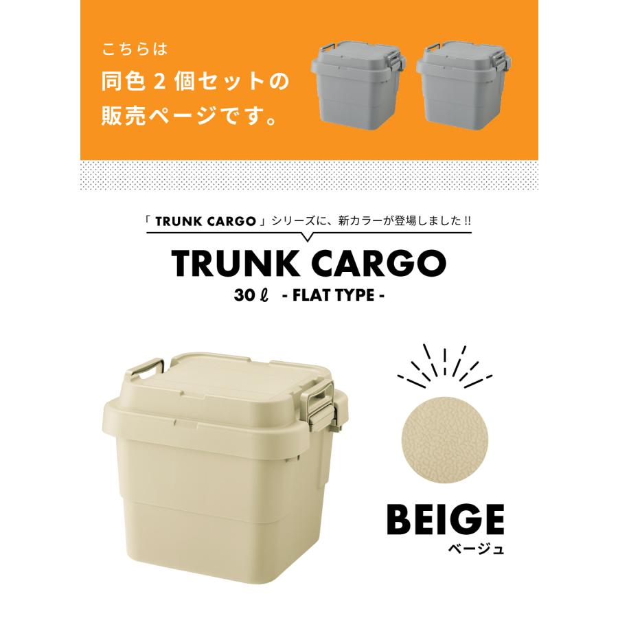 東谷 コンテナボックス 屋外 2個セット 30L 収納 キャンプ ベルト