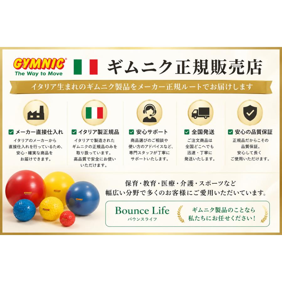 ギムニク ソフトギムニク オーバー 正規品 GYMNIC イタリア製 日本G