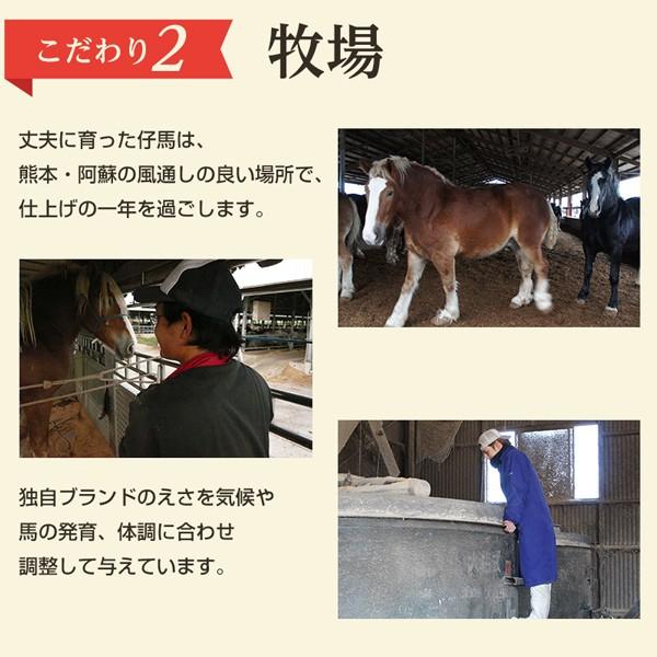 グルメ ギフト 国産 桜ユッケ(馬肉)10パック X 約50g 計約500g 熊本名産 馬刺 送料無料 お取り寄せ 得々セール :basaf-0015:九州からの贈り物 ヤフー店 - 通販 - Yahoo!ショッピング グルメ ギフト 国産 桜ユッケ(馬肉)10パック X 約50g 計約500g 熊本名産 馬刺 送料無料 お取り寄せ 得々セール :basaf-0015:九州からの贈り物 ヤフー店 - 通販 - Yahoo!ショッピング