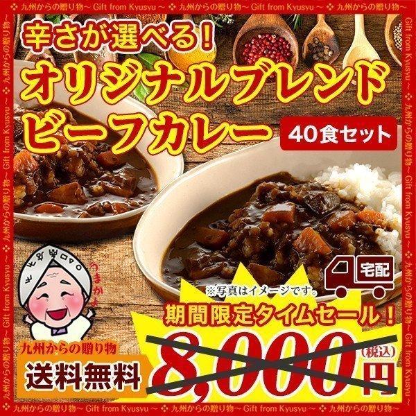予約販売品 グルメ ご飯のお供 訳あり オリジナルブレンドビーフカレー 40袋 辛口 甘口 選べる レトルトカレー 長期保存 常備 食品 得トクセール お取り寄せ B1 送料無料 Cisama Sc Gov Br