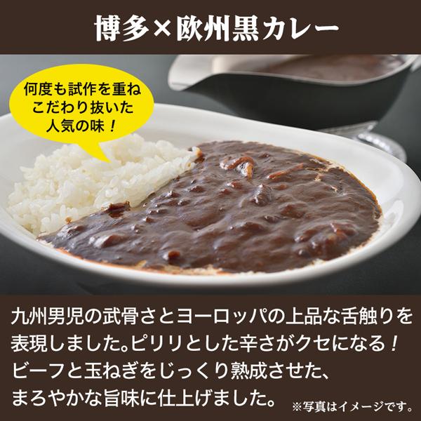 セール 当店チョイス 厳選4食カレー バラエティセットご当地 レトルトカレー  福岡 食べきり エコ包装 非常食 送料無料 得トクセール お取り寄せ｜palm-gift｜06