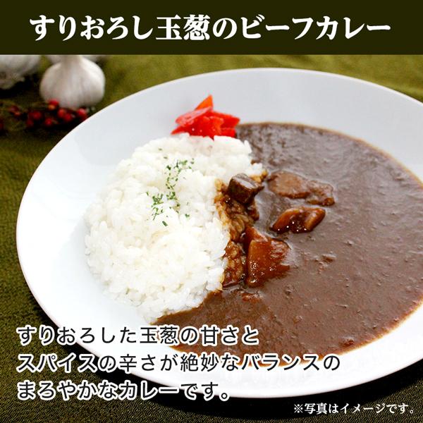 セール 当店チョイス 厳選4食カレー バラエティセットご当地 レトルトカレー  福岡 食べきり エコ包装 非常食 送料無料 得トクセール お取り寄せ｜palm-gift｜04