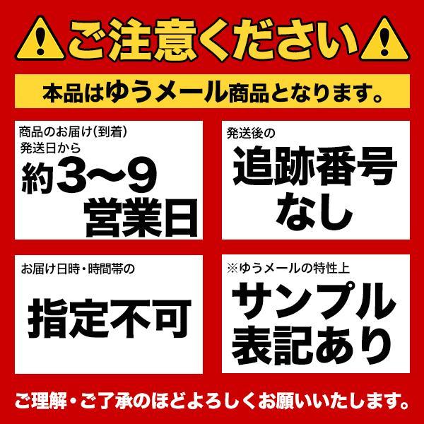 九州からの贈り物 長崎県 五島列島の恵 矢堅目の五島一番塩(50g)×2袋 