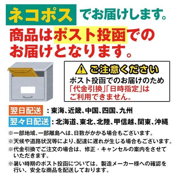 期間限定セール 生姜 長崎県産 しょうが パウダー 60g×2袋 純度 国産100% 長崎県諫早産生姜 まるごと低温乾燥 グルメ 食べきり 使い切り 送料無料｜palm-gift｜10