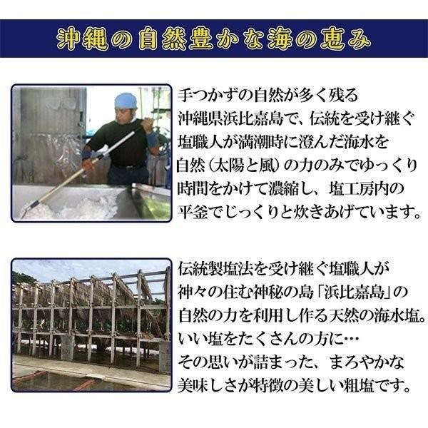 お取り寄せ 送料無料 神々の住む島の恵み 高江洲製塩所 の浜比嘉 塩 100g×4袋 海水塩100% ご当地 ポイント消化 沖縄｜palm-gift｜03