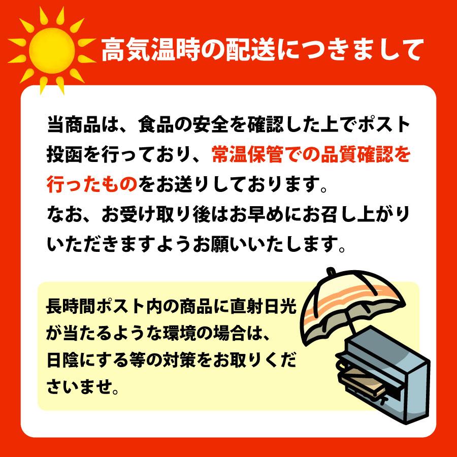 博多屋台ラーメン 純生仕込6人前 送料無料  豚骨 ラーメン ぽっきり  1000円 麺 得トクセール 九州  お取り寄せ ポイント利用 爆買 ポイント消化 | 九州からの贈り物 | 09