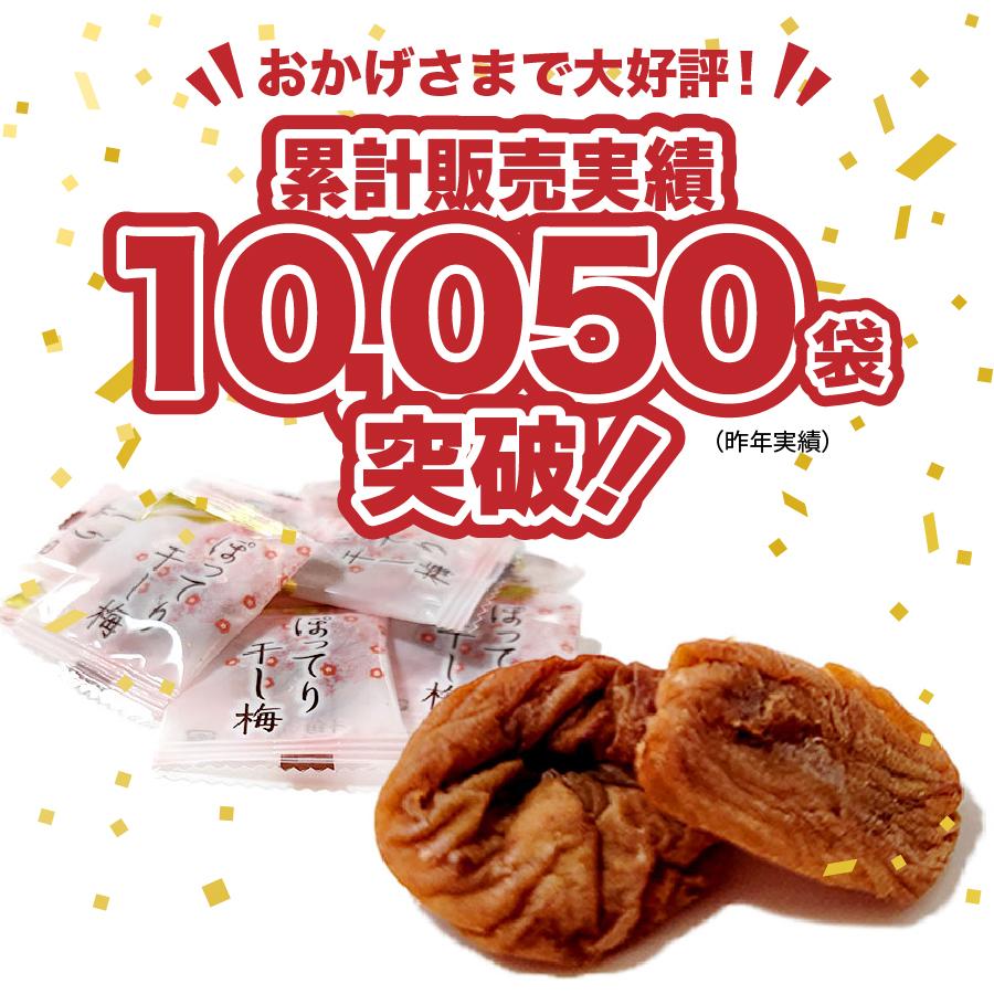 九州からの贈り物 訳あり まろやか 干し梅 約55g 小袋 おつまみ 種なし
