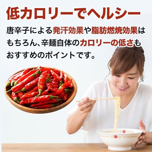 九州からの贈り物 激辛 麺 宮崎新名物 辛麺屋 輪 辛麺9人前 簡易