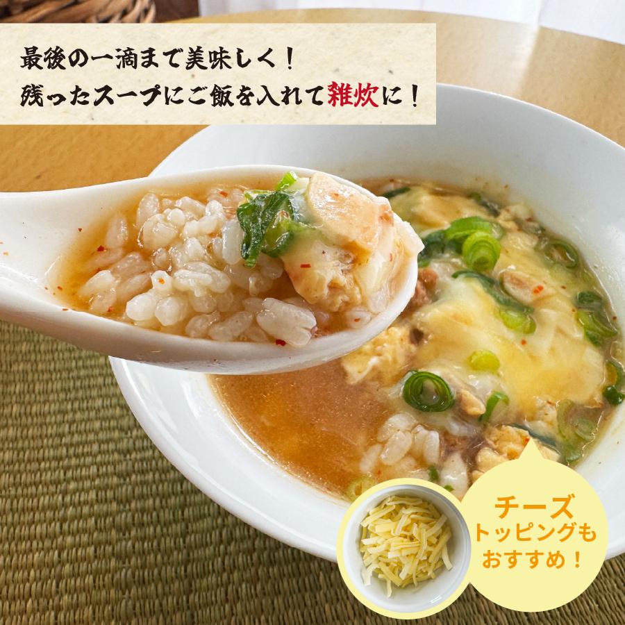九州からの贈り物 激辛 麺 宮崎新名物 辛麺屋 輪 辛麺9人前 簡易