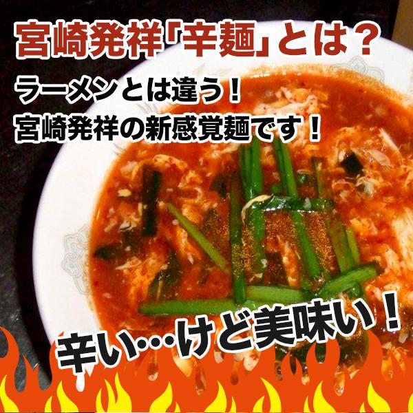 訳あり 宮崎新名物「辛麺屋 輪」辛麺4人前 リピーター様向け 簡易パッケージ コク旨ピリ辛スープ 辛めん 得トクセール 送料無料 激辛 麺 お取り寄せ｜palm-gift｜03