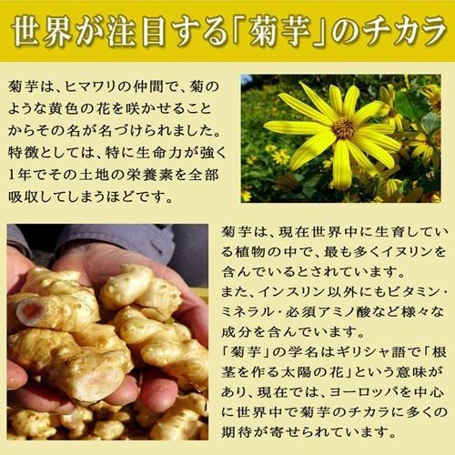 菊芋パウダー 熊本県産菊芋使用 ふるさと菊芋パウダー40gX6袋 いまテレビで話題 イヌリンパワー お取り寄せ 送料無料 国産 熊本 九州産 イヌリン 野菜 b1｜palm-gift｜05