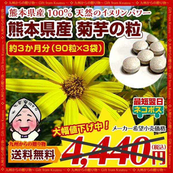 palm gift kikuimo 27