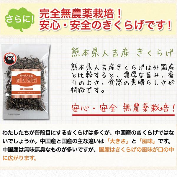 濃厚な旨みと豊かな香り 熊本県 人吉産 きくらげ(20g)×6袋 スライスタイプ 国産 キクラゲ 九州 木耳 きくらげ 希少 わけあり セール 食品 野菜 健康 b1｜palm-gift｜03