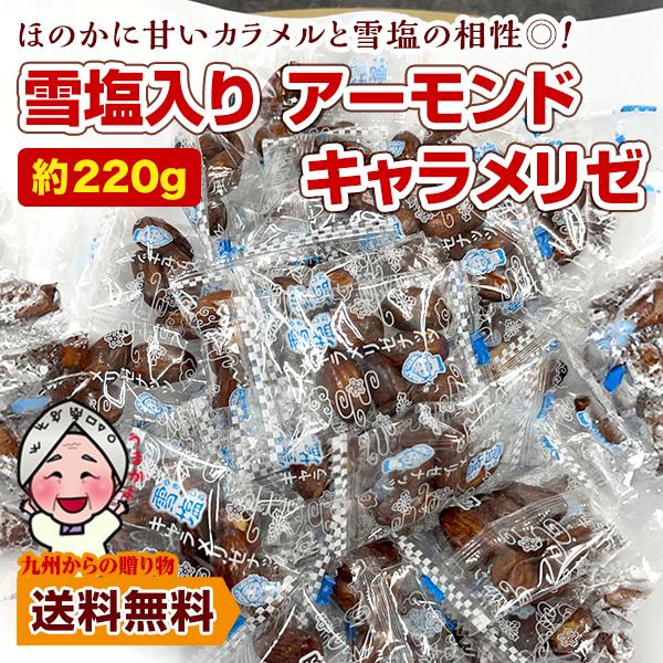 雪塩アーモンドキャラメリゼ 約220g  カリッと香ばしい 小袋 小分け ピロ包装 小腹 お酒 沖縄 宮古島産 雪塩 お菓子 個包装 ポイント利用 爆買 ポイント消化（Yahoo!・九州からの贈り物 ヤフー店）