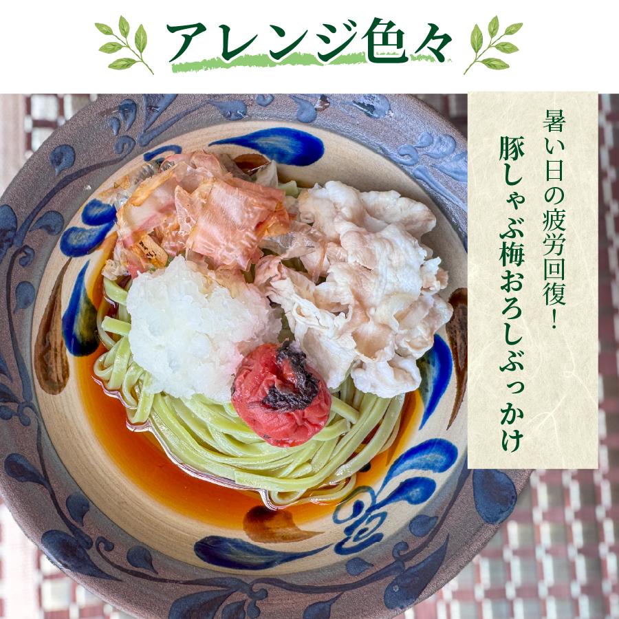 九州からの贈り物 つるつる モチモチ 新食感 モロヘイヤうどん5人前