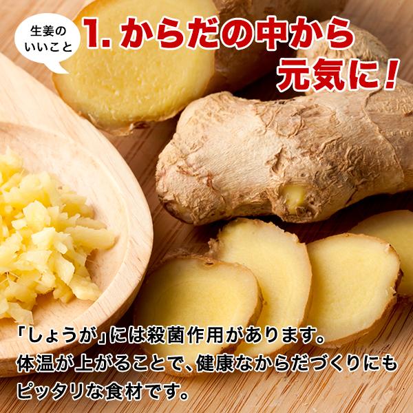 元祖 おかずしょうが(100g) ×4袋 しょうゆ漬 漬物 しょうが 生姜 食品 お取り寄せ ご飯のお供 b1 漬物 つけもの 送料無料｜palm-gift｜03