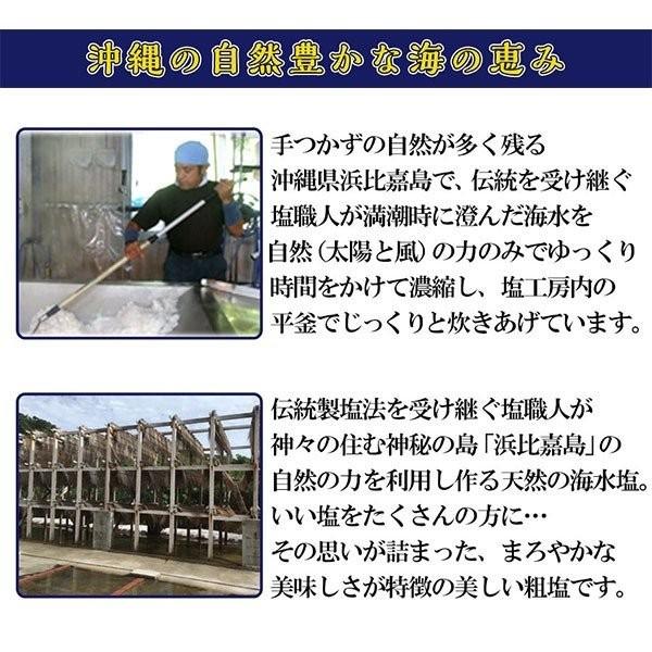 お取り寄せ 送料無料 神々の住む島の恵み『高江洲製塩所 の浜比嘉塩』(100g)×3袋 海水塩100% グルメ ポイント消化 沖縄  :ryu-sumibi-02:九州からの贈り物 ヤフー店 - 通販 - Yahoo!ショッピング