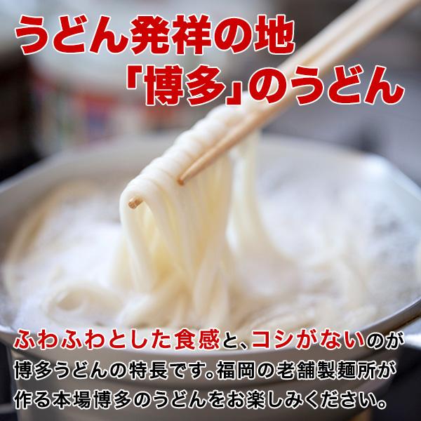 お得クーポンあり 送料無料 博多 あご出汁 博多んもん柔らか生うどん 5人前 乾燥ねぎ付き 半生麺 博多うどん うどん ポイント消化 わけあり お試し｜palm-gift｜02