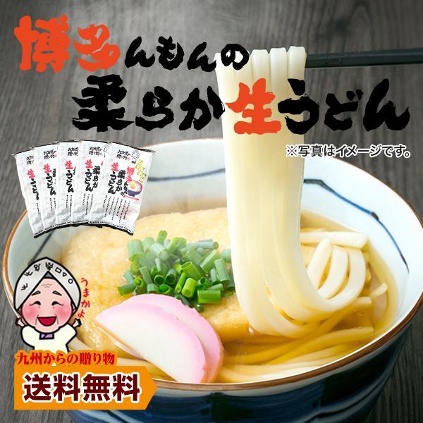お試しうどん 送料無料 博多 あご出汁 博多んもん柔らか生うどん 5人前 乾燥ねぎ付き 半生麺 博多うどん うどん ポイント消化 わけあり ポイント利用 爆買（Yahoo!・九州からの贈り物 ヤフー店）