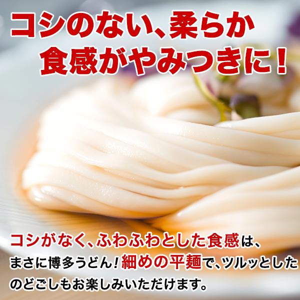 お試しうどん 限定クーポンあり 送料無料 博多 あご出汁 博多んもん柔らか生うどん 3人前 乾燥ねぎ付き 半生麺 博多うどん うどん ポイント消化 わけあり｜palm-gift｜05