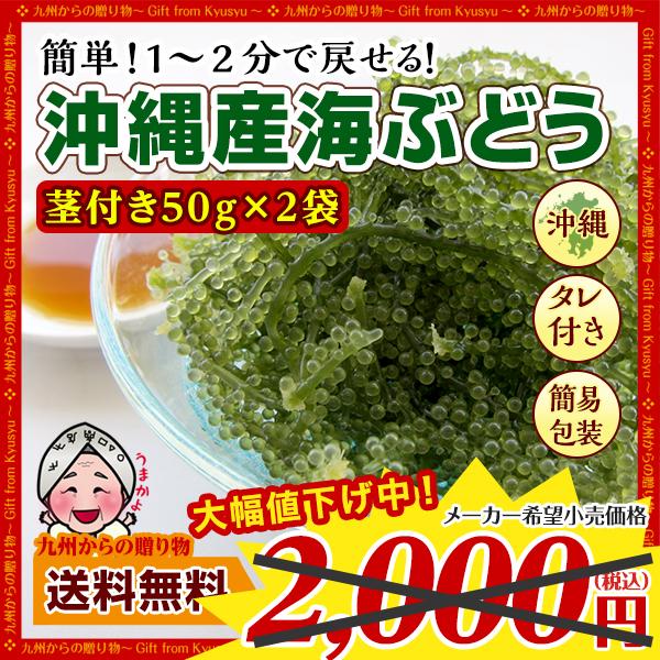 産地直送 海ぶどう(茎付き)50g×2袋 沖縄の海の宝 プチプチ食感 沖縄県産 エコ包装  塩水漬け 海藻 海ブドウ 食品 土産 1000円 ポイント利用 爆買 ポイント消化（Yahoo!・九州からの贈り物 ヤフー店）