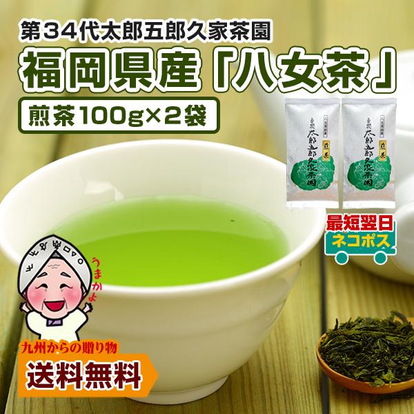 八女茶　知覧茶