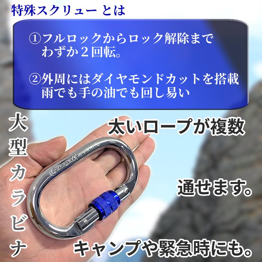 頑丈 登山 安全環 付き カラビナ 2個 25KN トップ ロープ 対応