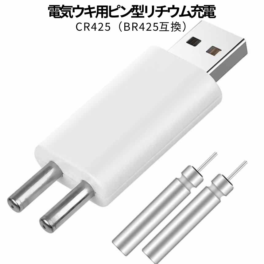 電気 ウキ USB 充電器 セット ピン型 電池 充電 2ポート 2穴 釣り ギア