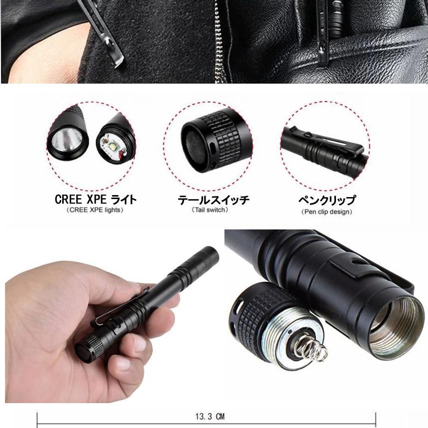 ペン型 LED ライト 大小 2本 セット 小型 ミニ 懐中電灯 電池 ペン