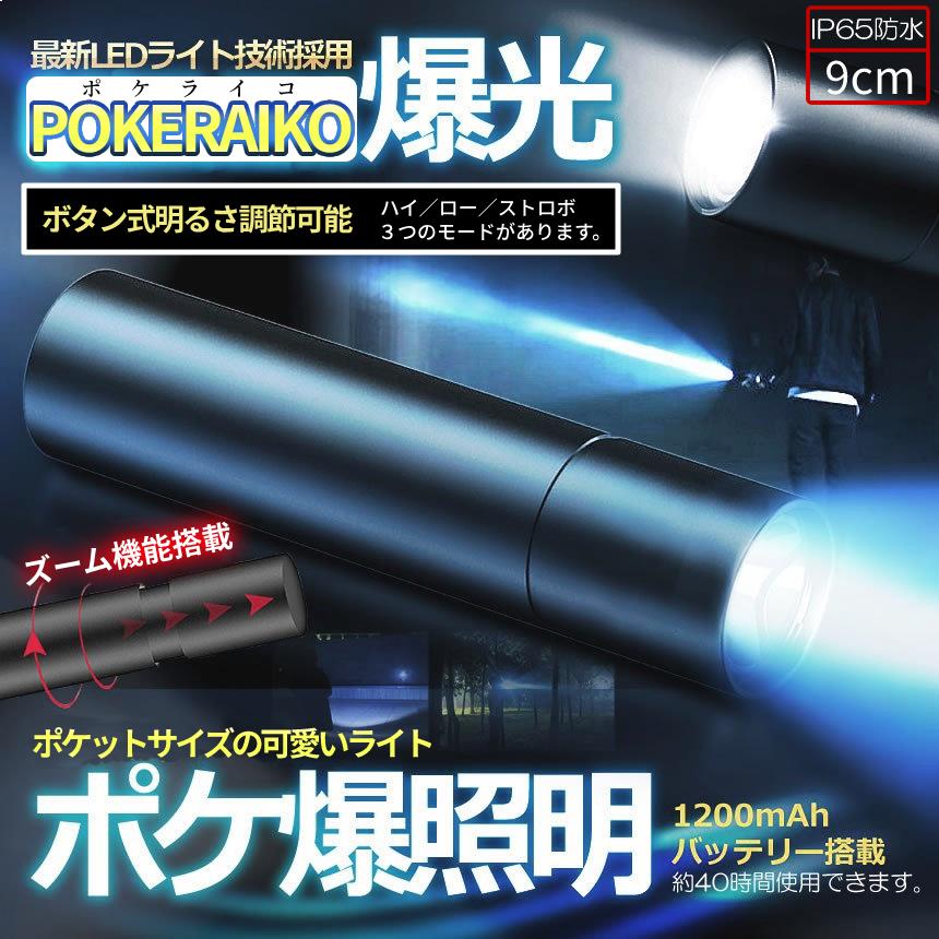 ポケット LED ミニ ライト 9cm 懐中電灯 明るさ 調節 可能 防水 USB