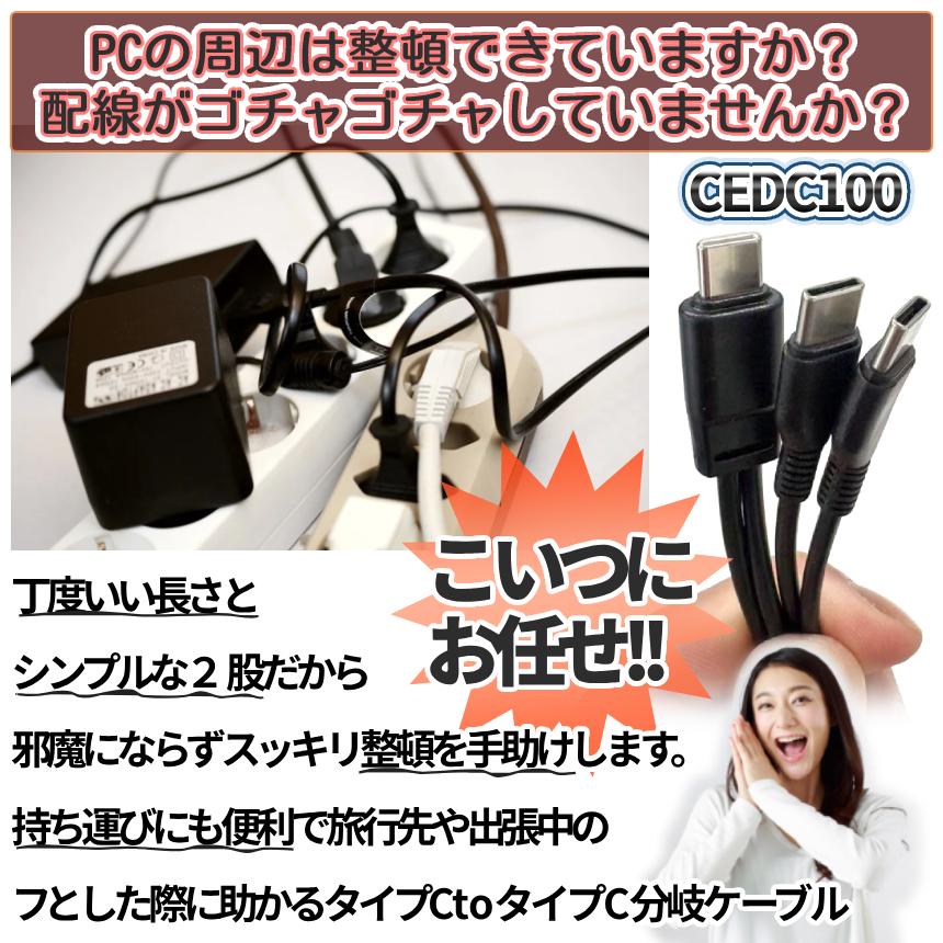 USB タイプC to type-c ケーブル 二股 1m 2セット USBケーブル 充電