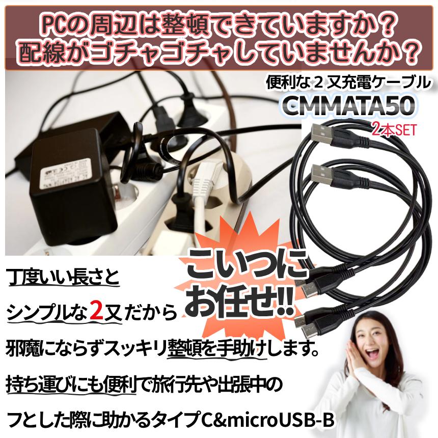USBタイプC microUSB 分岐ケーブル 2本組 枝分かれ 50cm 黒 シンプル
