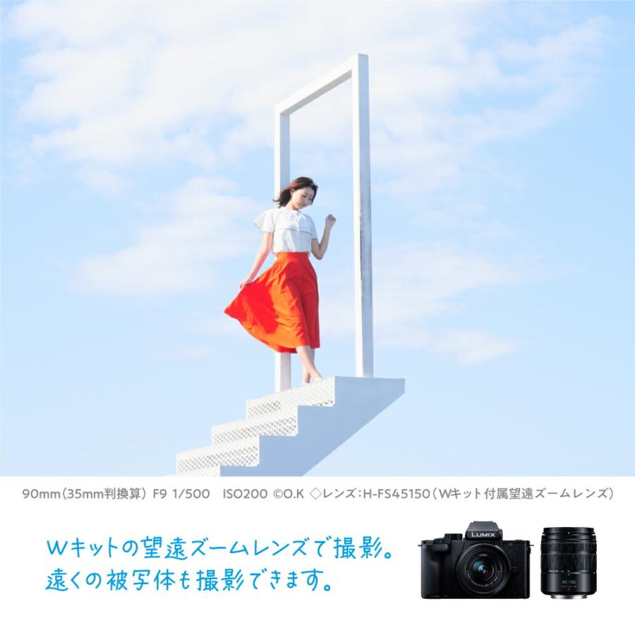 LUMIX DC-100DW ダブルズームレンズキット LUMIX 公式店 パナソニック デジタル一眼カメラ DC-G100DW