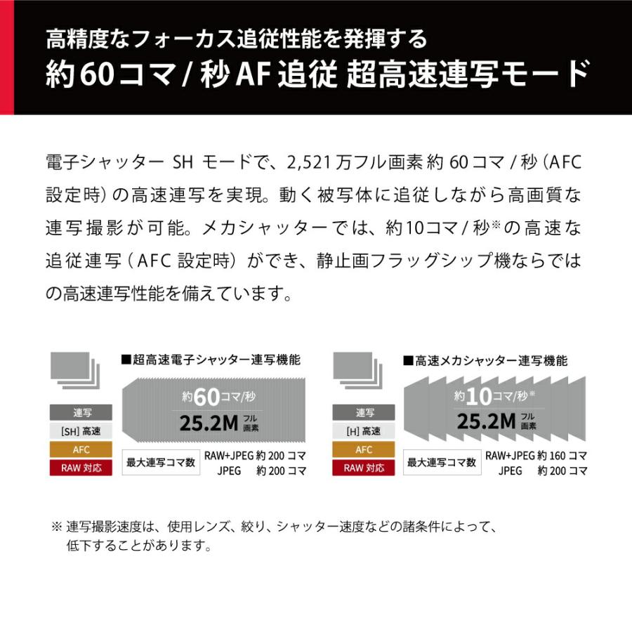 LUMIX 公式店 パナソニック デジタル一眼カメラ DC-G9M2 ボディのみ