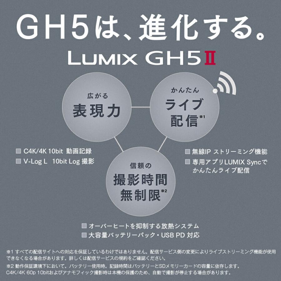 LUMIX Gシリーズ 公式店 パナソニック デジタル一眼カメラ DC-GH5M2
