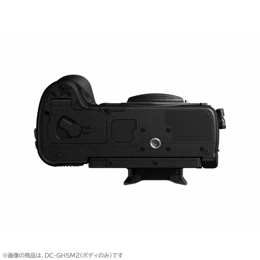 LUMIX Gシリーズ 公式店 パナソニック デジタル一眼カメラ DC-GH5M2H
