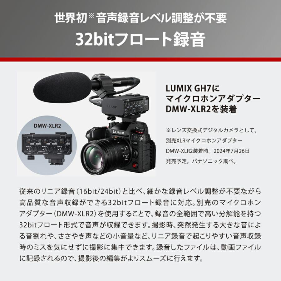 LUMIX 公式店 パナソニック デジタル一眼カメラ Gシリーズ DC LUMIX 公式店 パナソニック デジタル一眼カメラ Gシリーズ DC