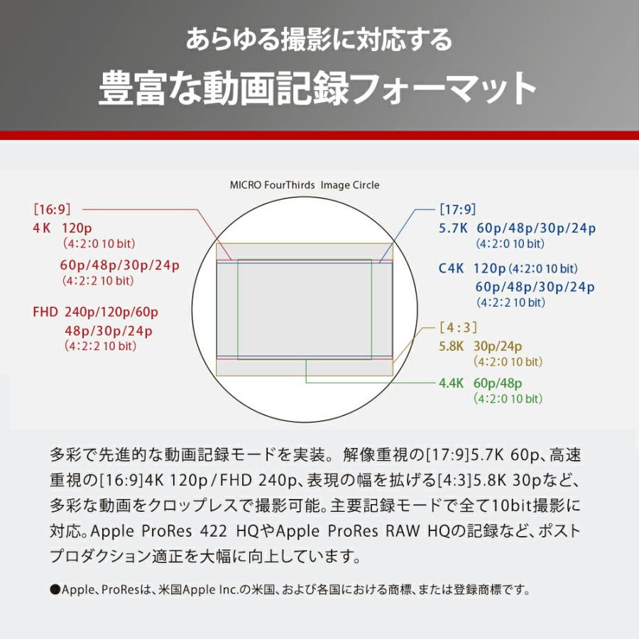 LUMIX 公式店 パナソニック デジタル一眼カメラ DC-GH7L 標準ズーム