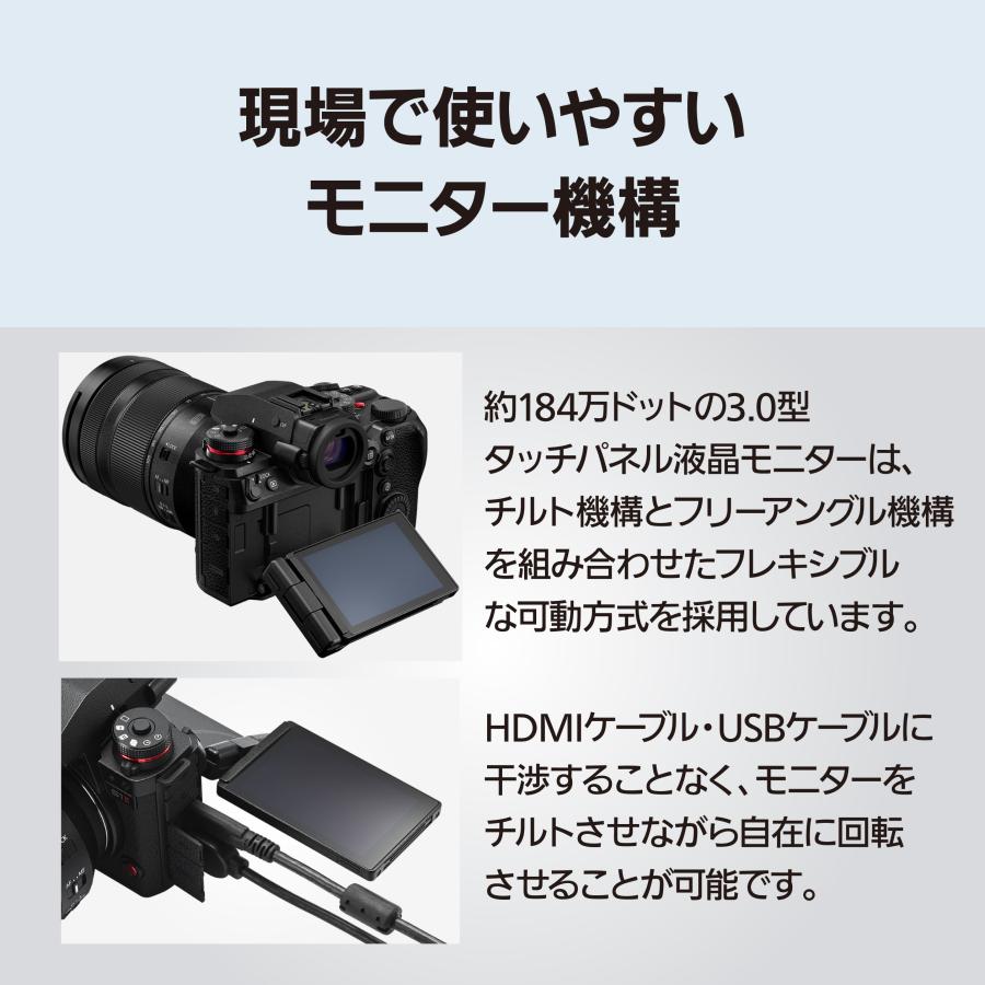 LUMIX 公式店 パナソニック デジタル一眼カメラ DC-S1M2ESM 標準ズーム
