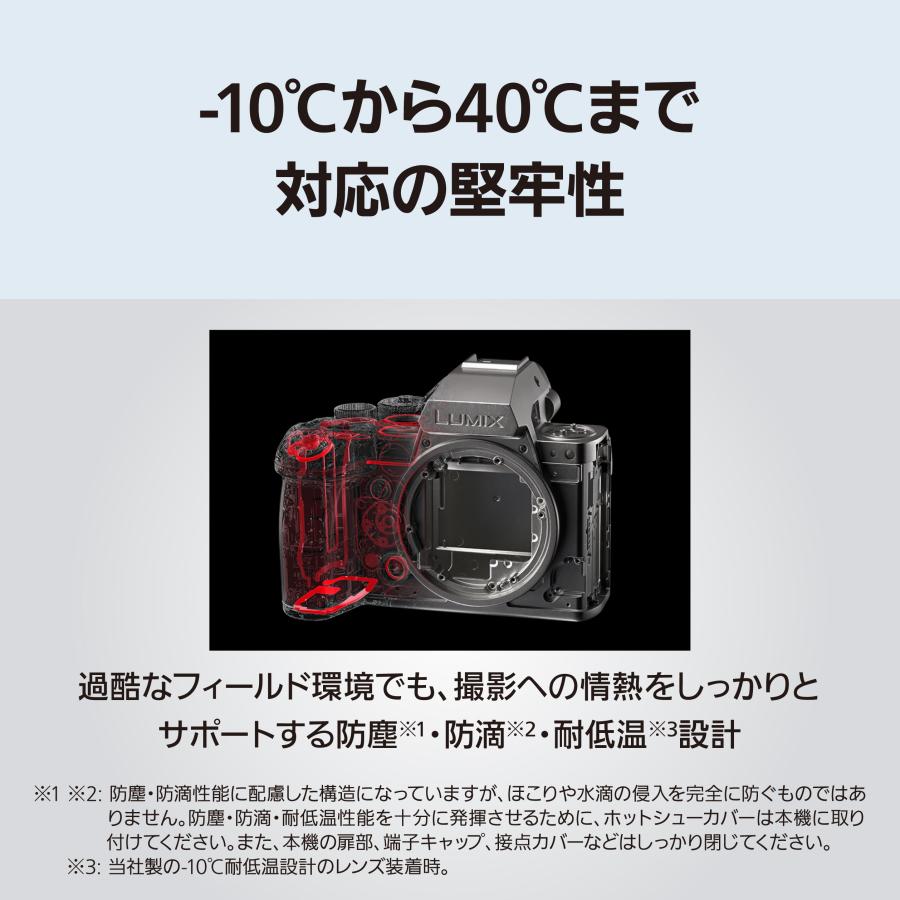 LUMIX 公式店 パナソニック デジタル一眼カメラ DC-S1M2ESM 標準