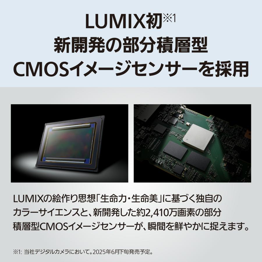 LUMIX 公式店 パナソニック デジタル一眼カメラ フルサイズ DC-S1M2M