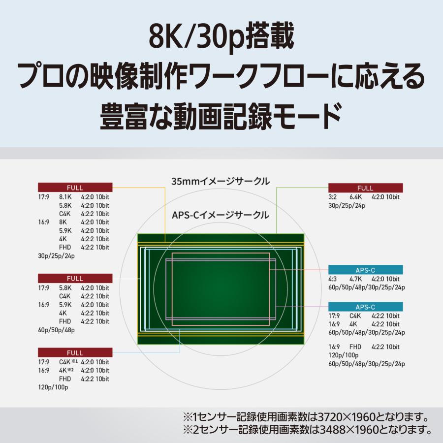 LUMIX 公式店 パナソニック デジタル一眼カメラ フルサイズ DC-S1RM2