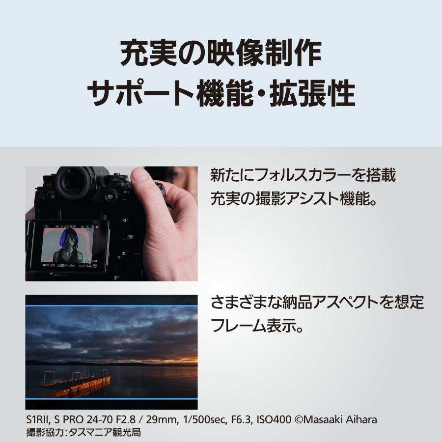 LUMIX 公式店 パナソニック デジタル一眼カメラ フルサイズ DC-S1RM2