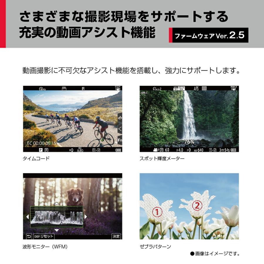 LUMIX 公式店 パナソニック デジタル一眼カメラ フルサイズ DC