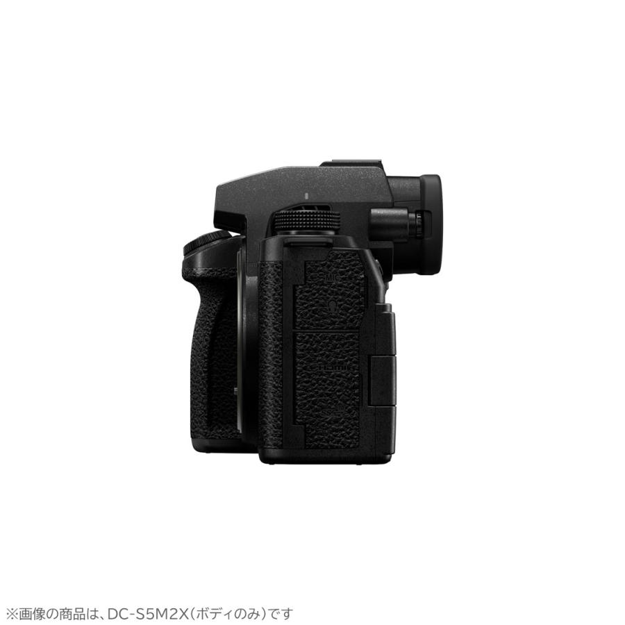 LUMIX Sシリーズ 公式店 パナソニック デジタル一眼カメラ フルサイズ
