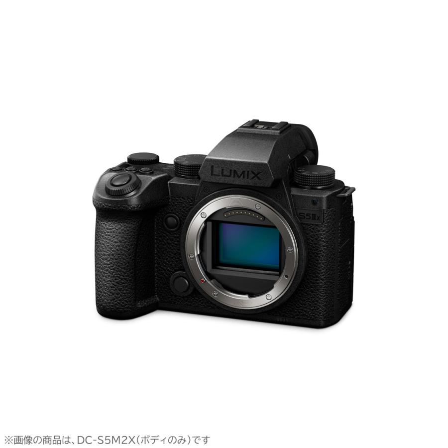 LUMIX Sシリーズ 公式店 パナソニック デジタル一眼カメラ フルサイズ