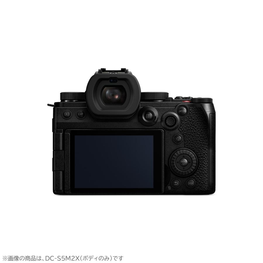 LUMIX Sシリーズ 公式店 パナソニック デジタル一眼カメラ フルサイズ