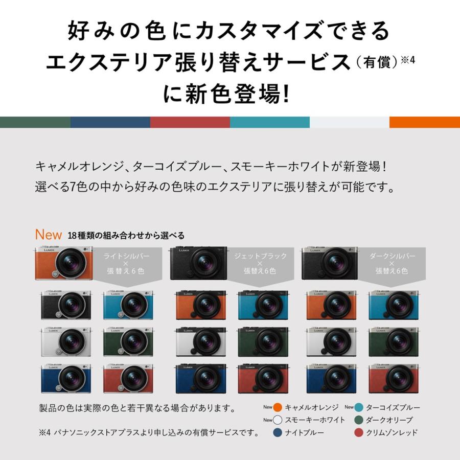 公式店 パナソニック デジタル一眼カメラ DC-S9N-N 広角ズームレンズ